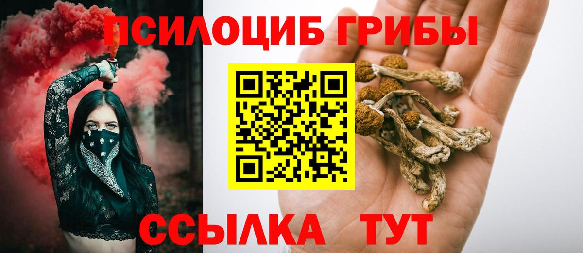 Владикавказ  Галлюциногенные грибы мухоморы  Вход с VPN 